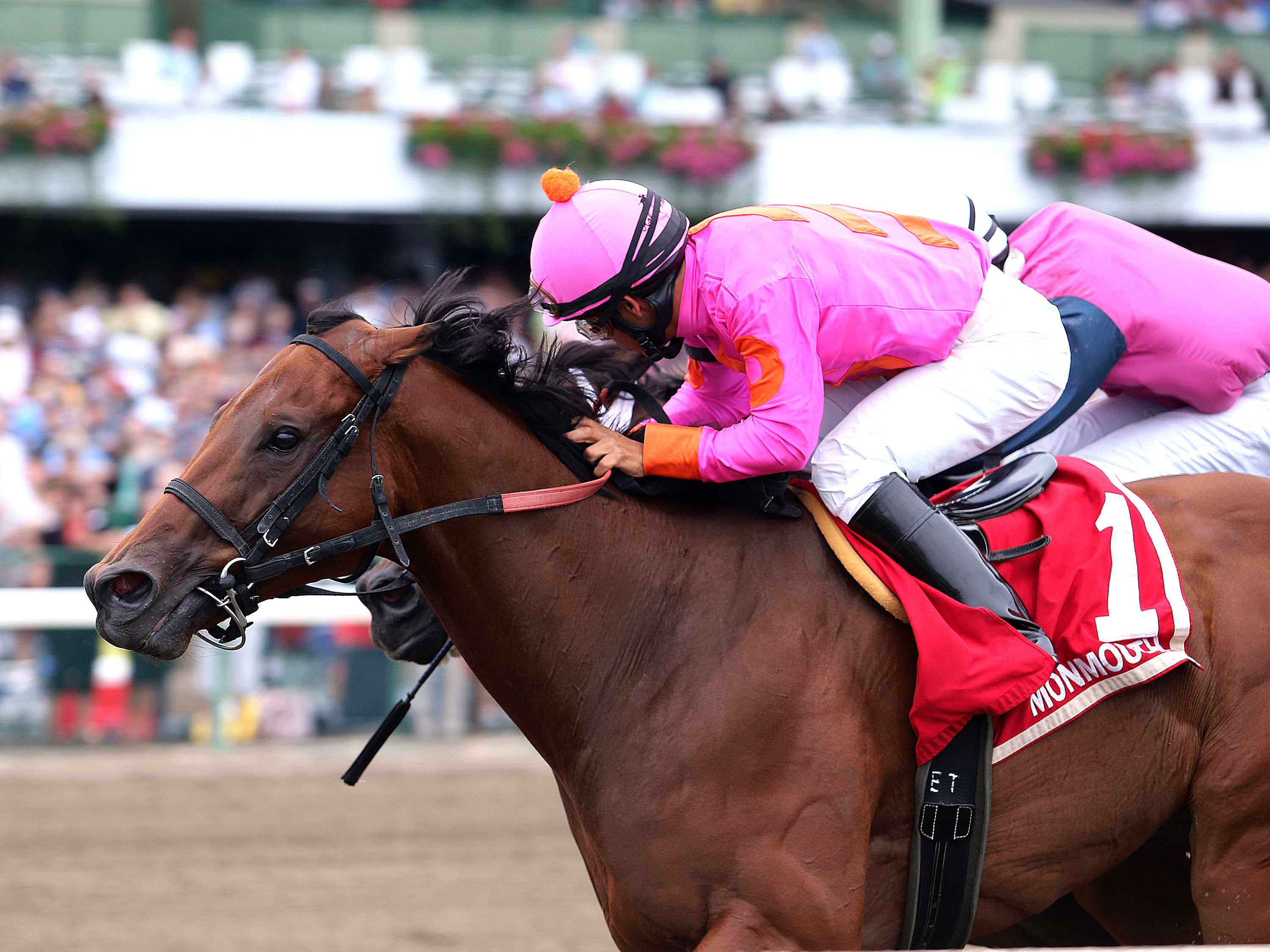Monmouth Park: Immortal Eyes hangs on to win Teddy Drone