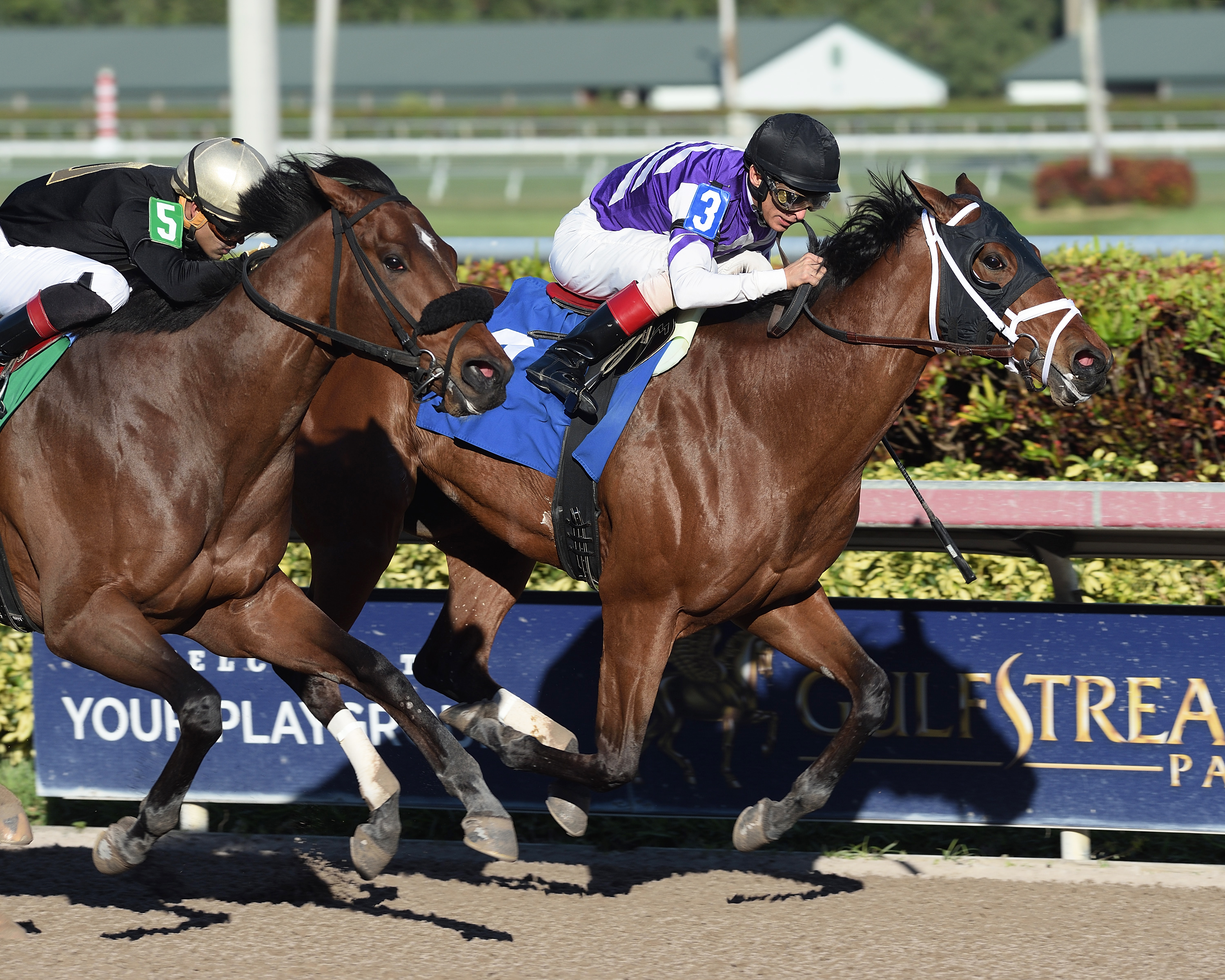 Impact Player wins a Dec. 13 maiden race