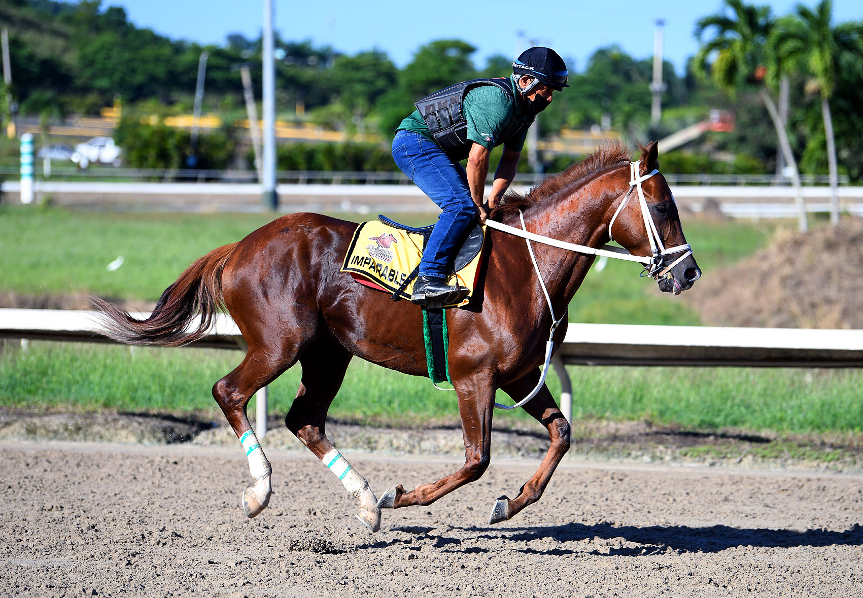 Imparable - Serie Hipica del Caribe