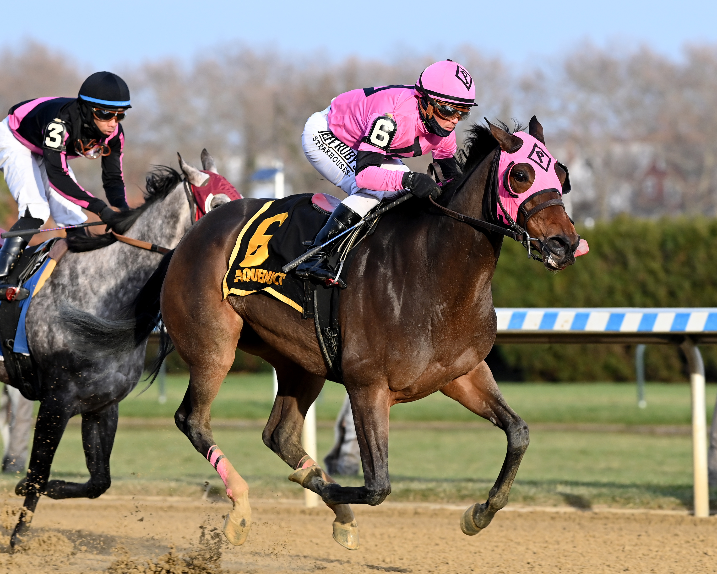 Impazible Donna - NY Stallion Series S. 2022