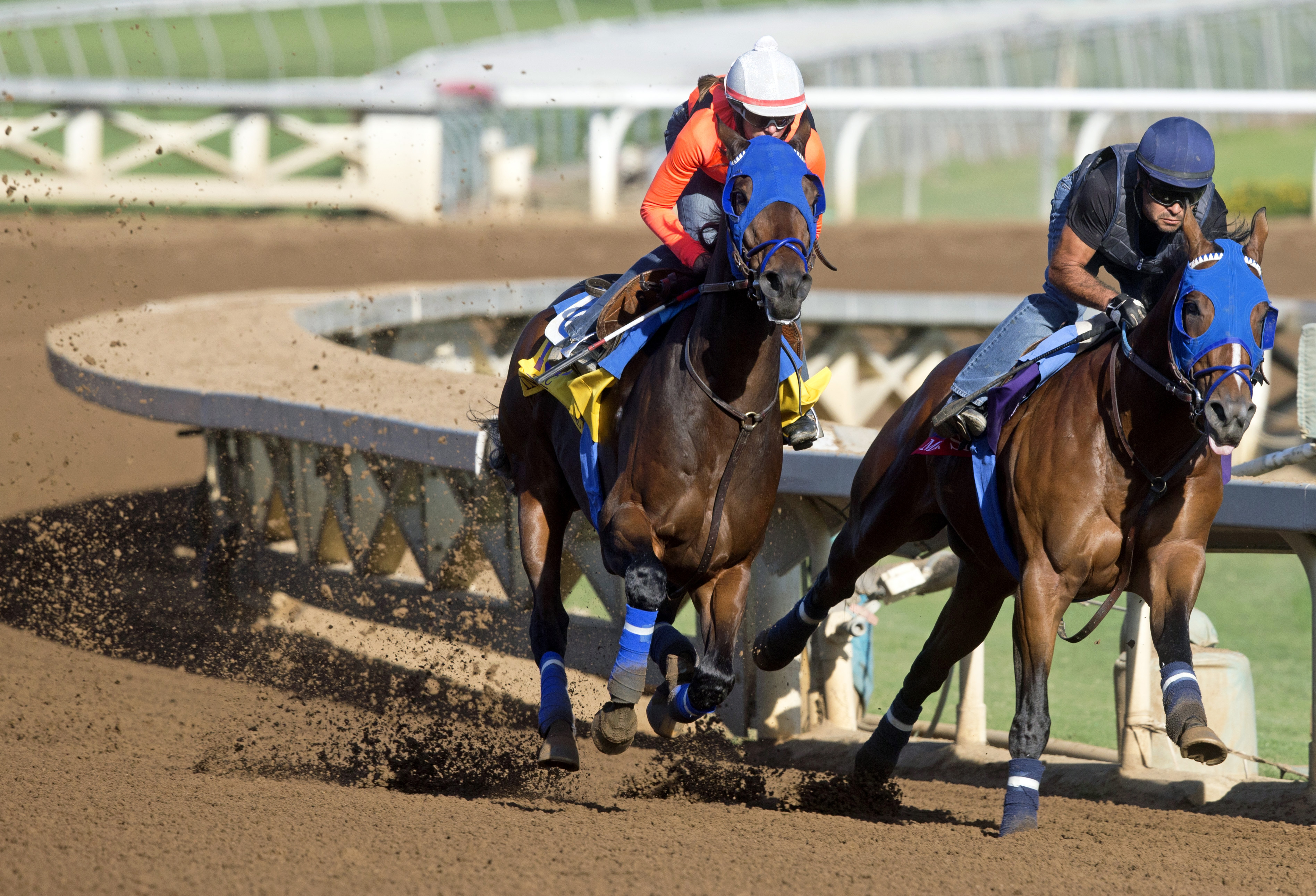 Imperative and Mr. Sexy train on Oct. 23