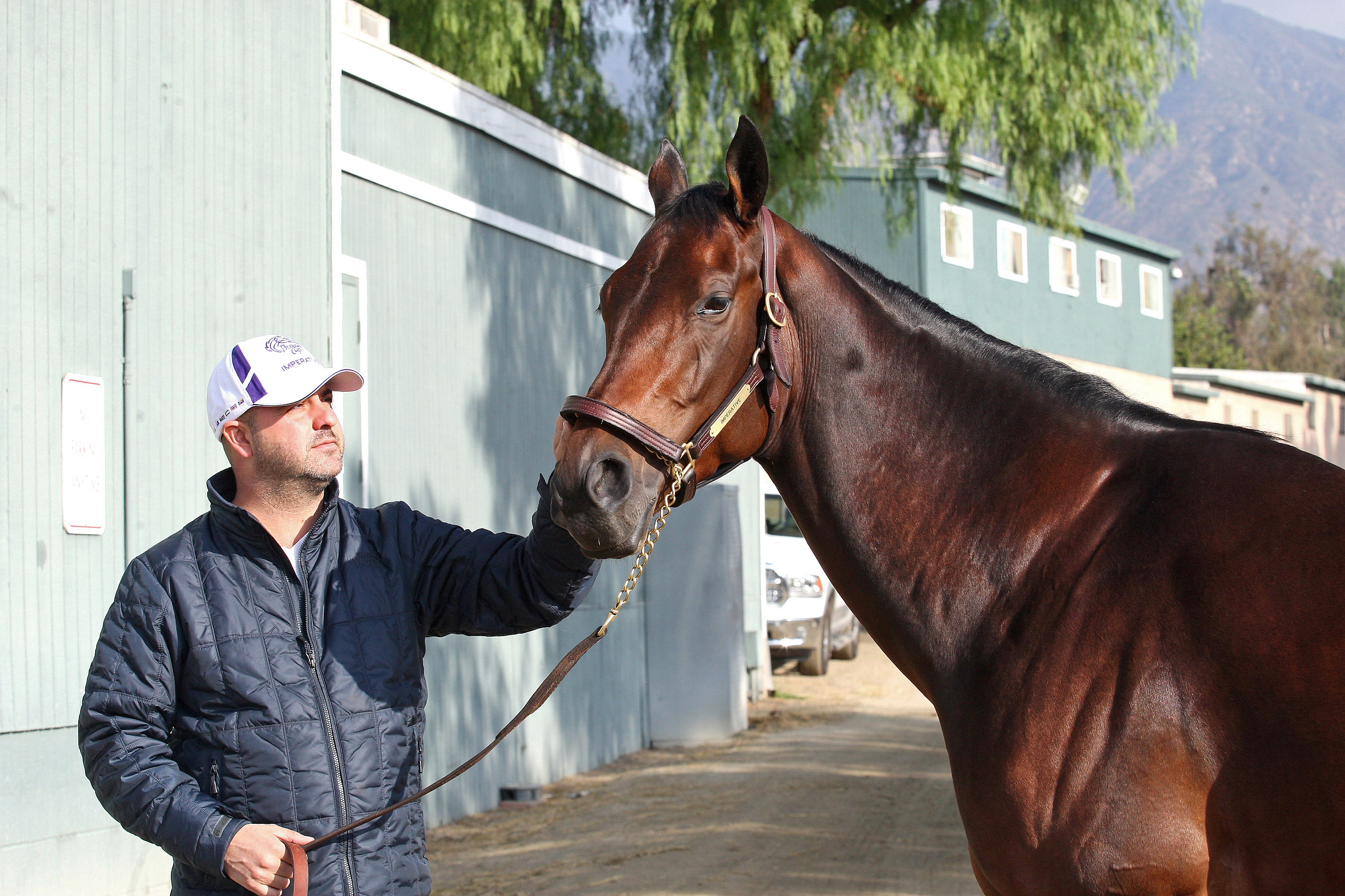 George Papaprodromou and Imperative