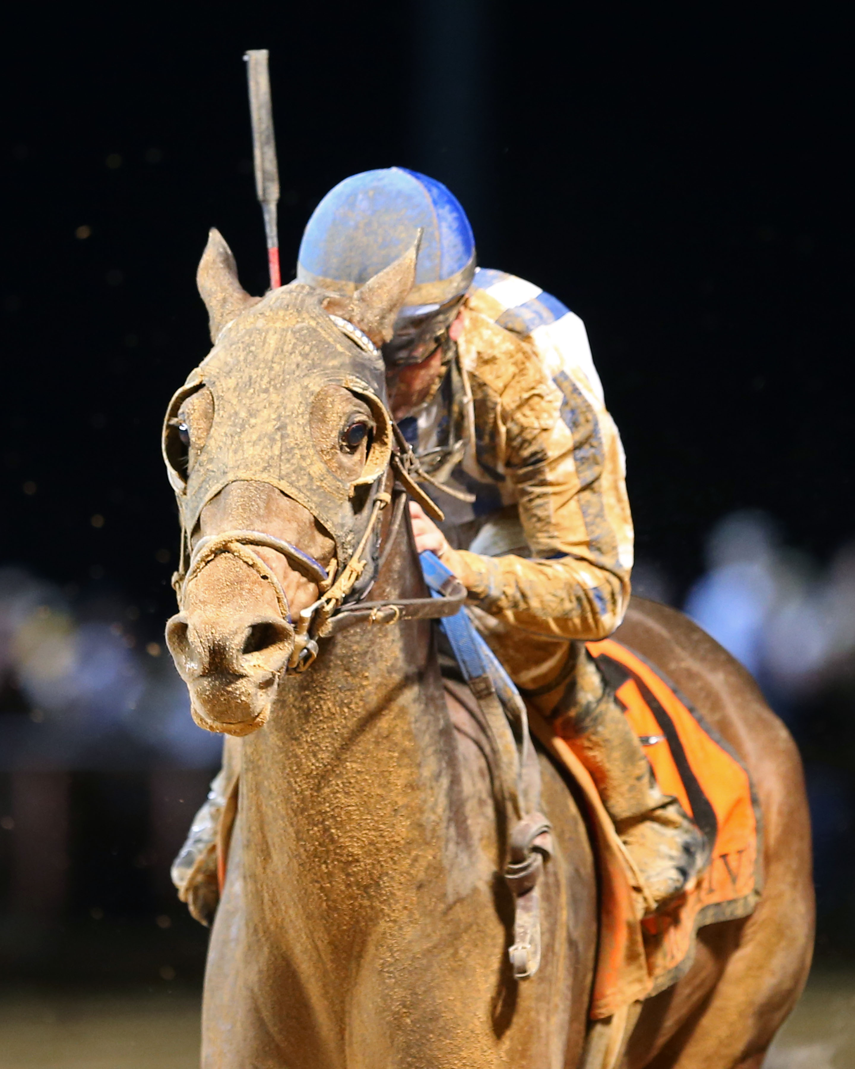 Imperative wins the Charles Town Classic