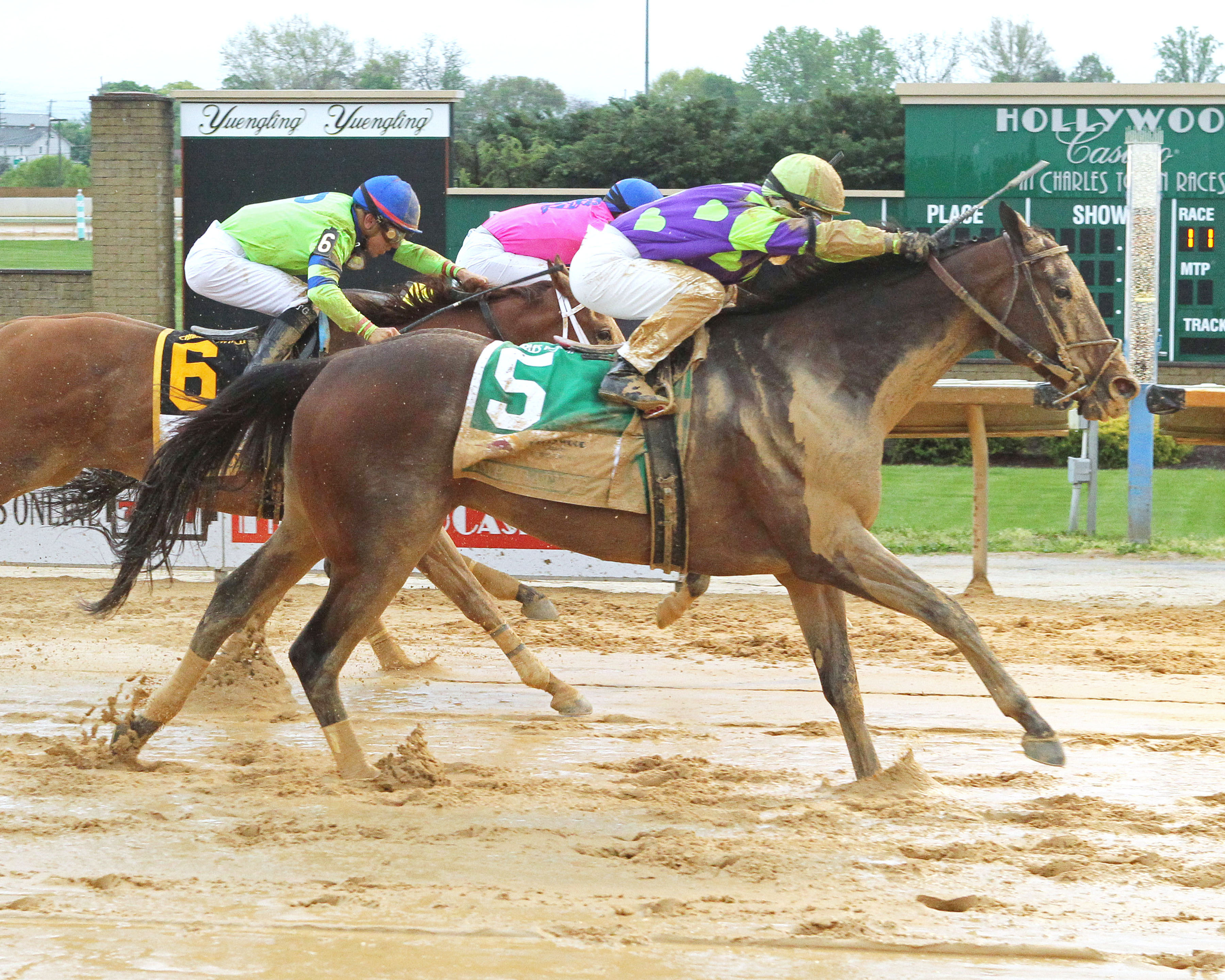 Imperative wins the 2017 Charles Town Classic