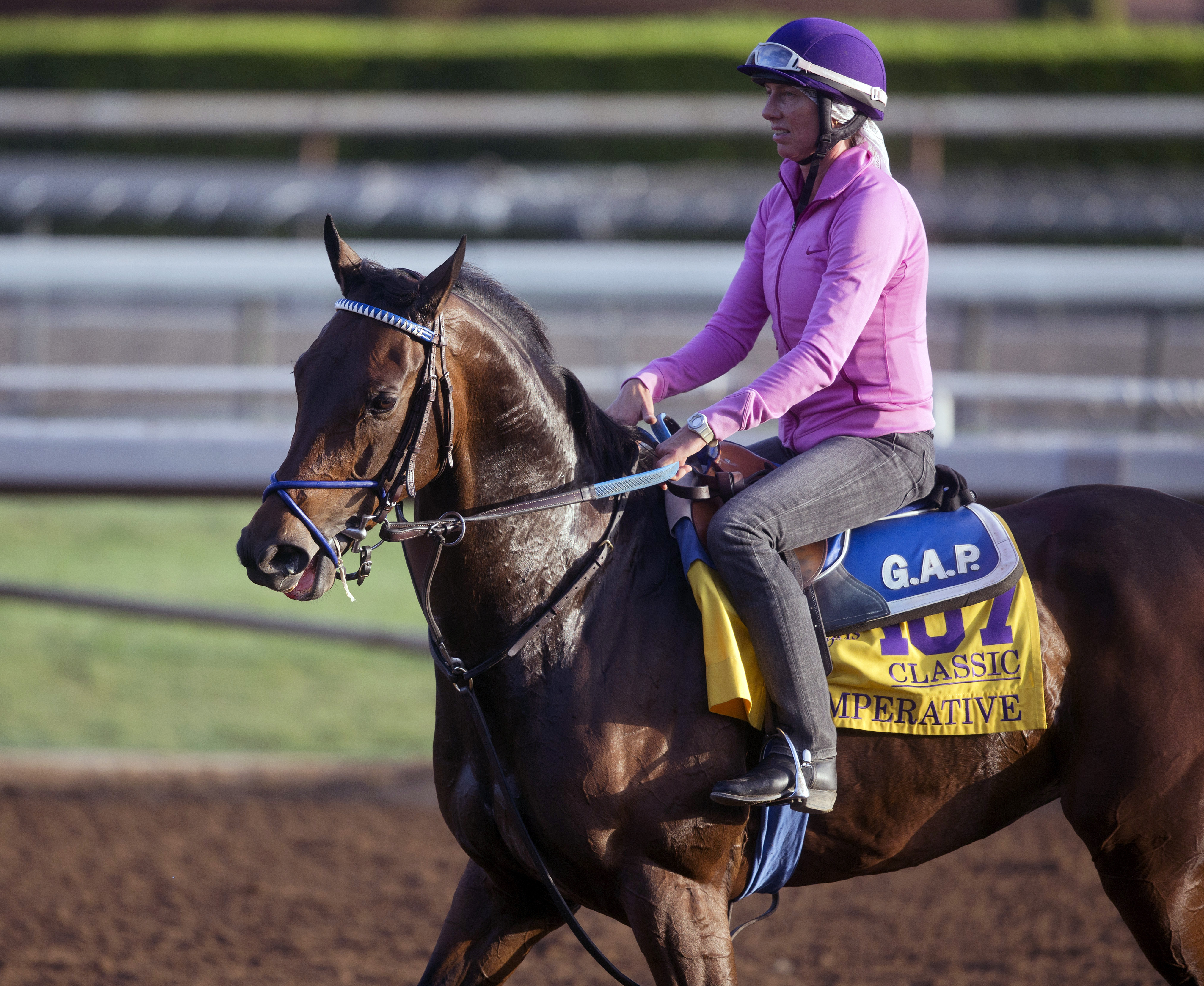 Imperative at Santa Anita in October