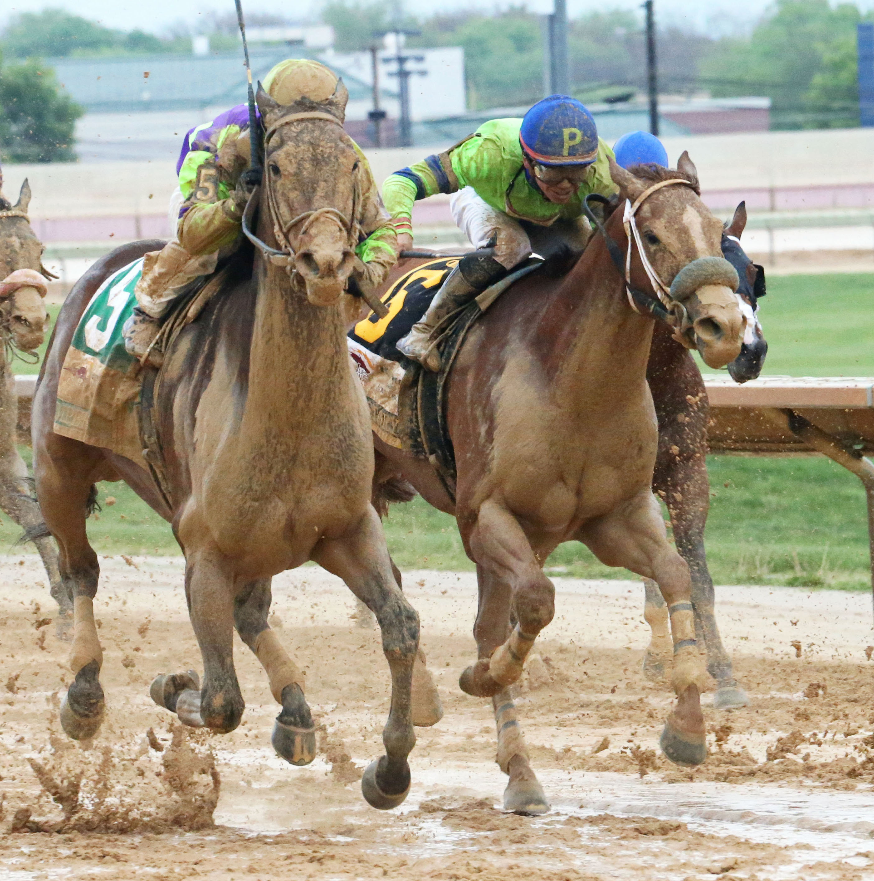 Matt King Coal finishes second to Imperative in the Charles Town Classic