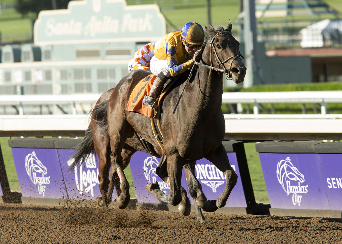 Imperative wins the Big Bear Stakes