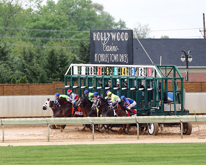 Charles Town starting gate 2017