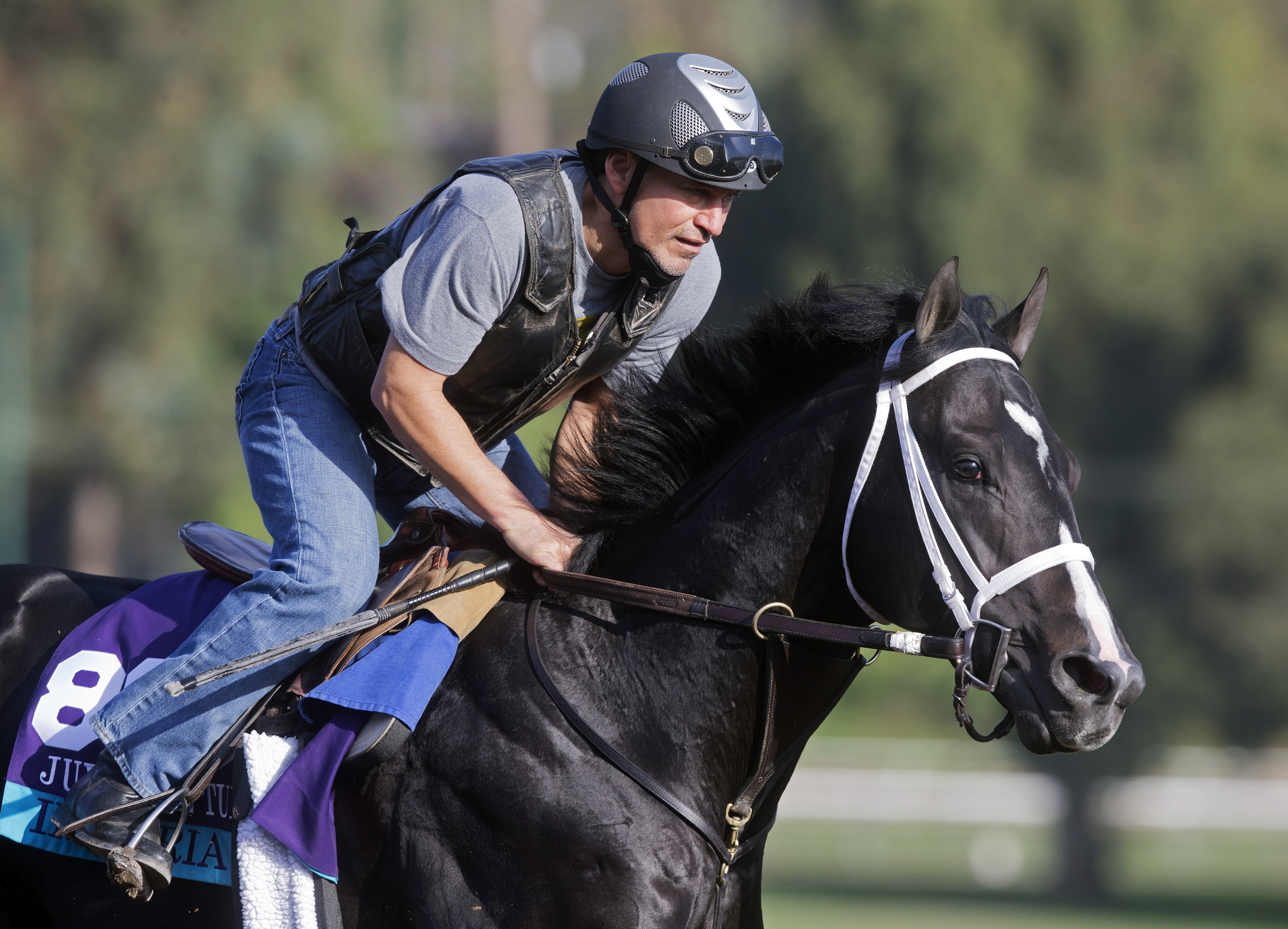 Imperia trains at Santa Anita on Oct. 27