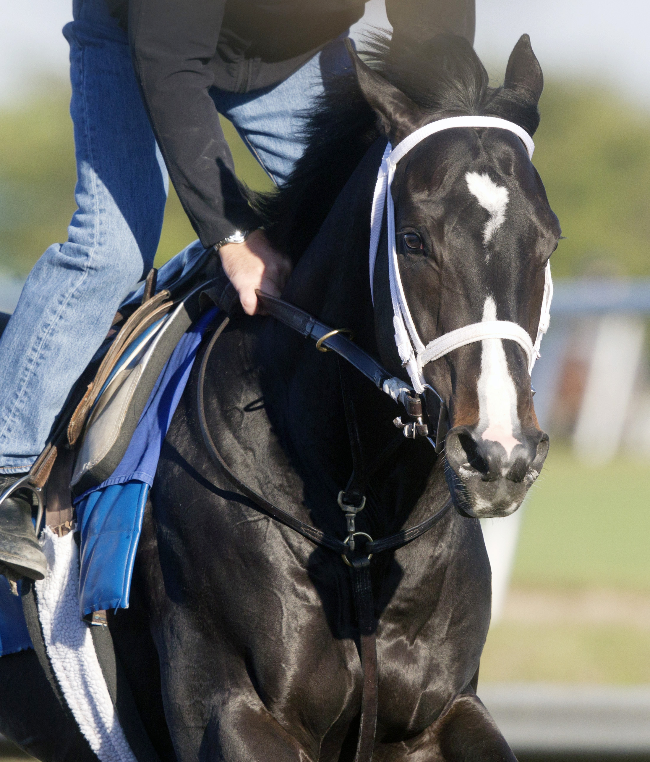 Imperia training on Feb. 11