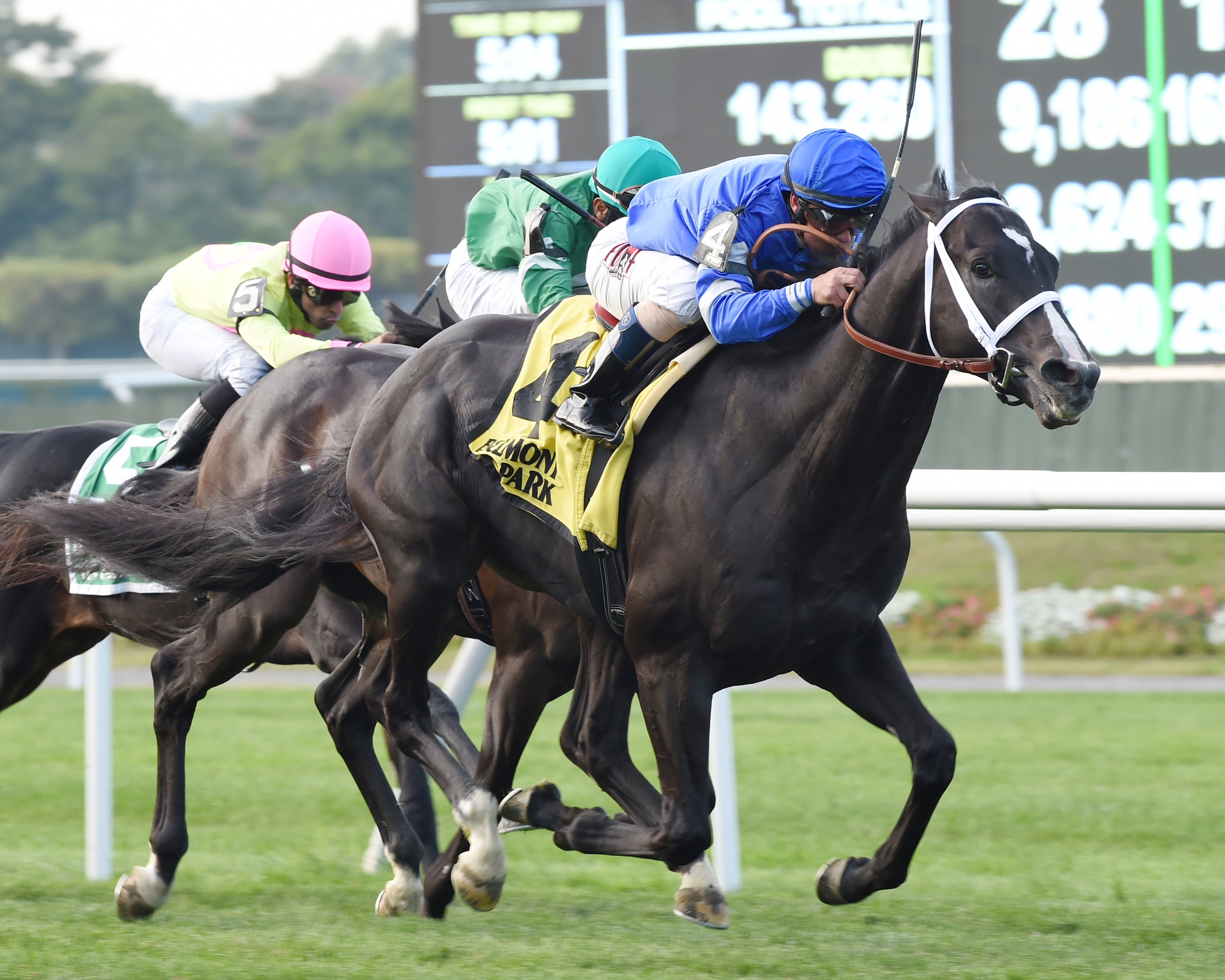 Imperia wins the Pilgrim