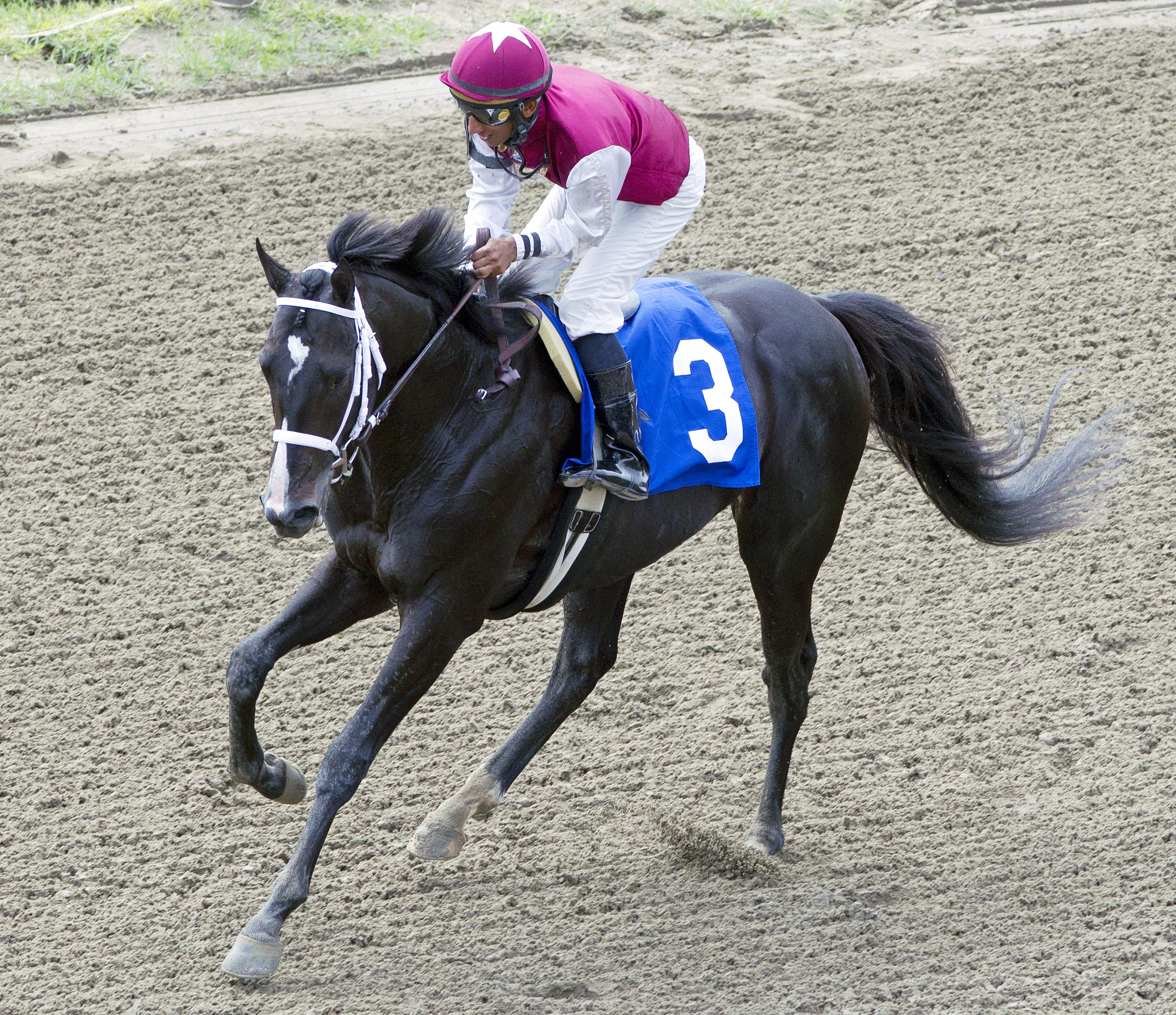 Imperia finishes second in a maiden race