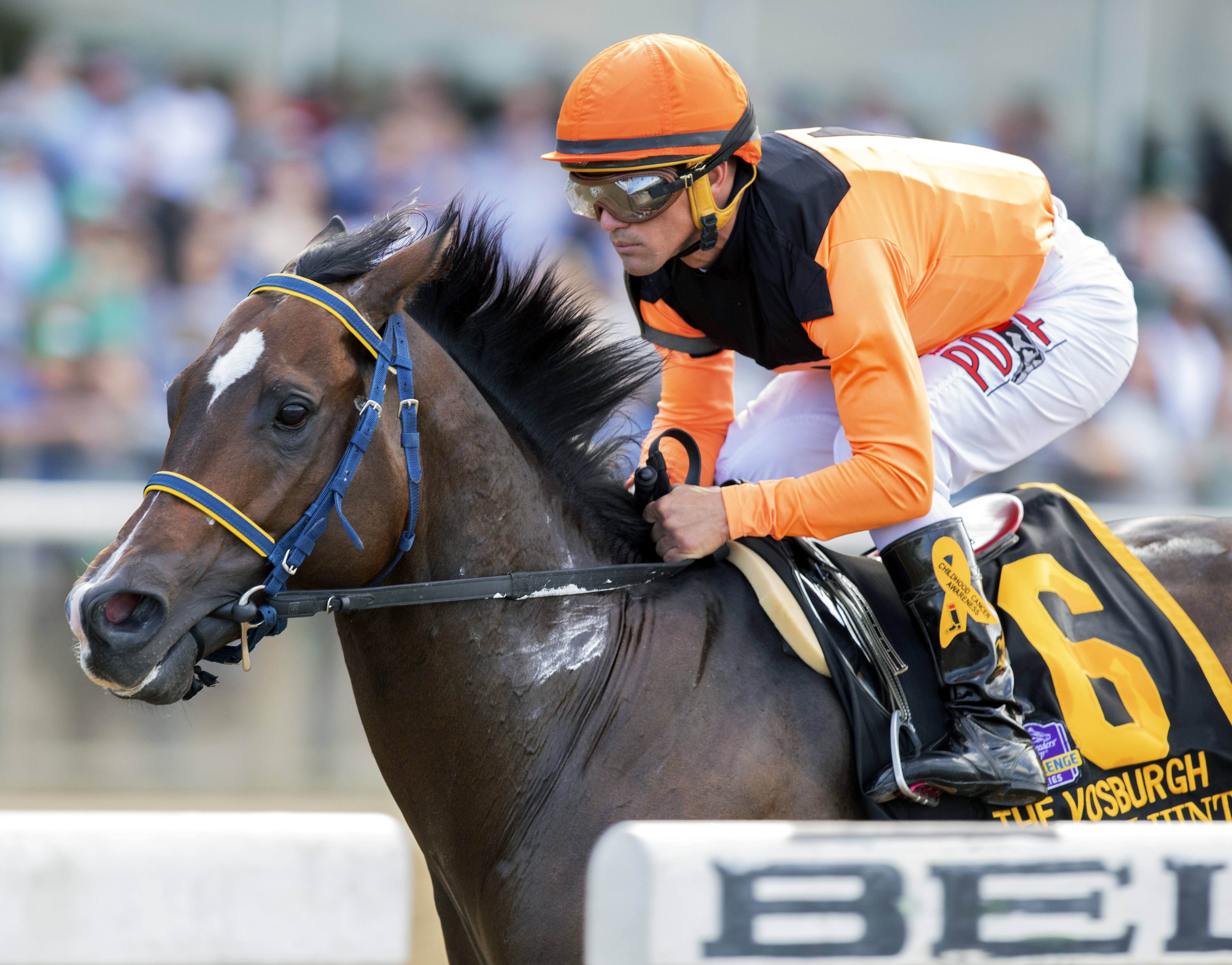 Imperial Hint wins the 2018 Vosburgh Stakes