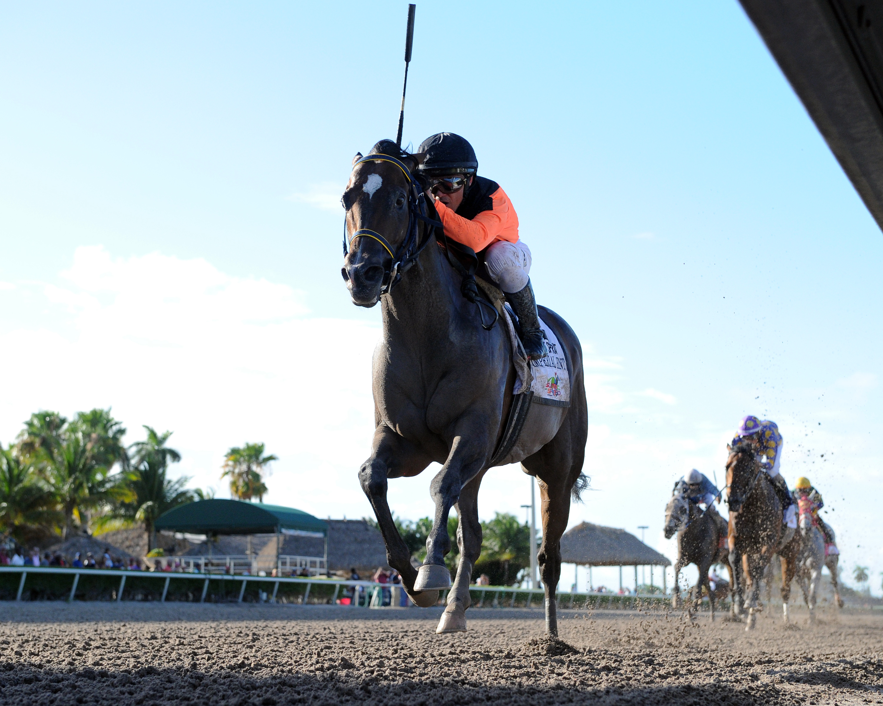 Imperial Hint wins the Smile Sprint