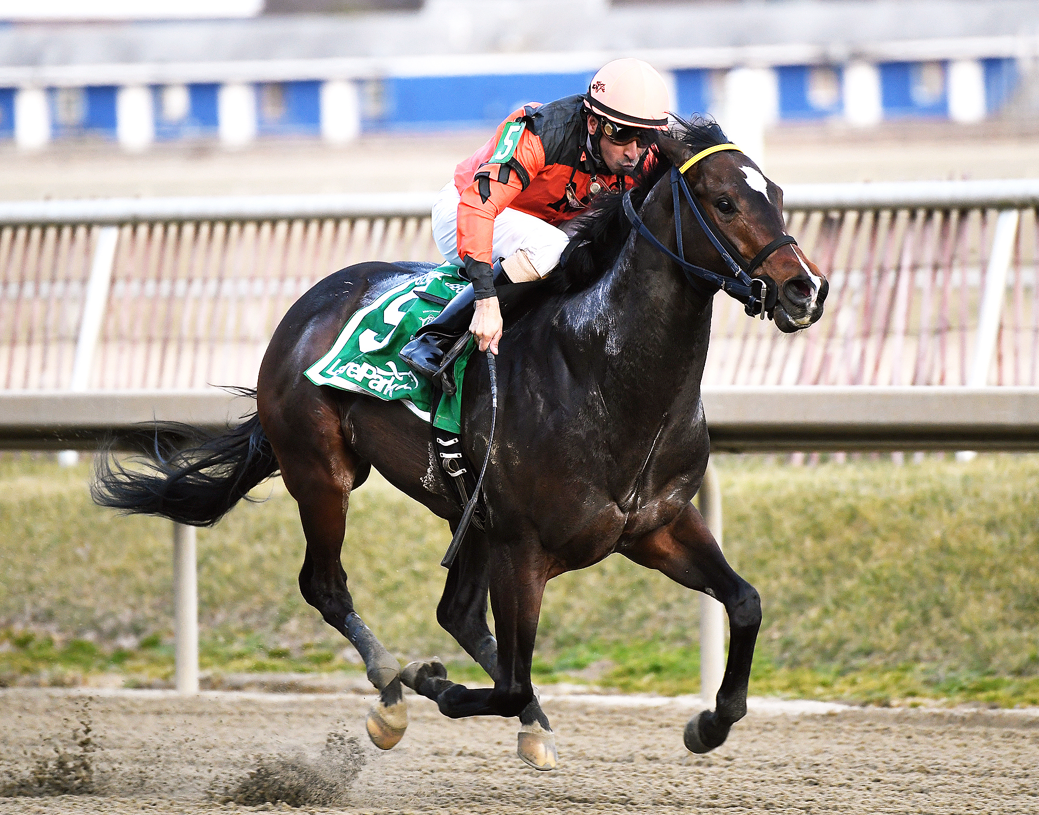 Imperial Hint wins the General George Stakes