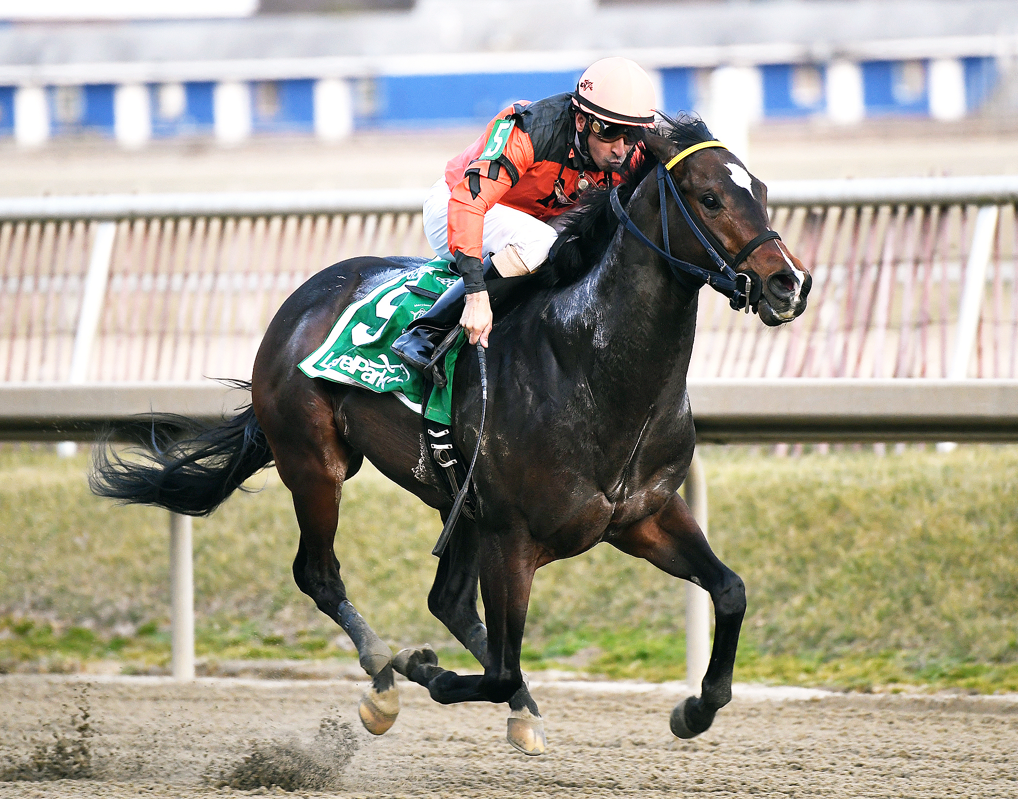 Imperial Hint wins the General George Stakes