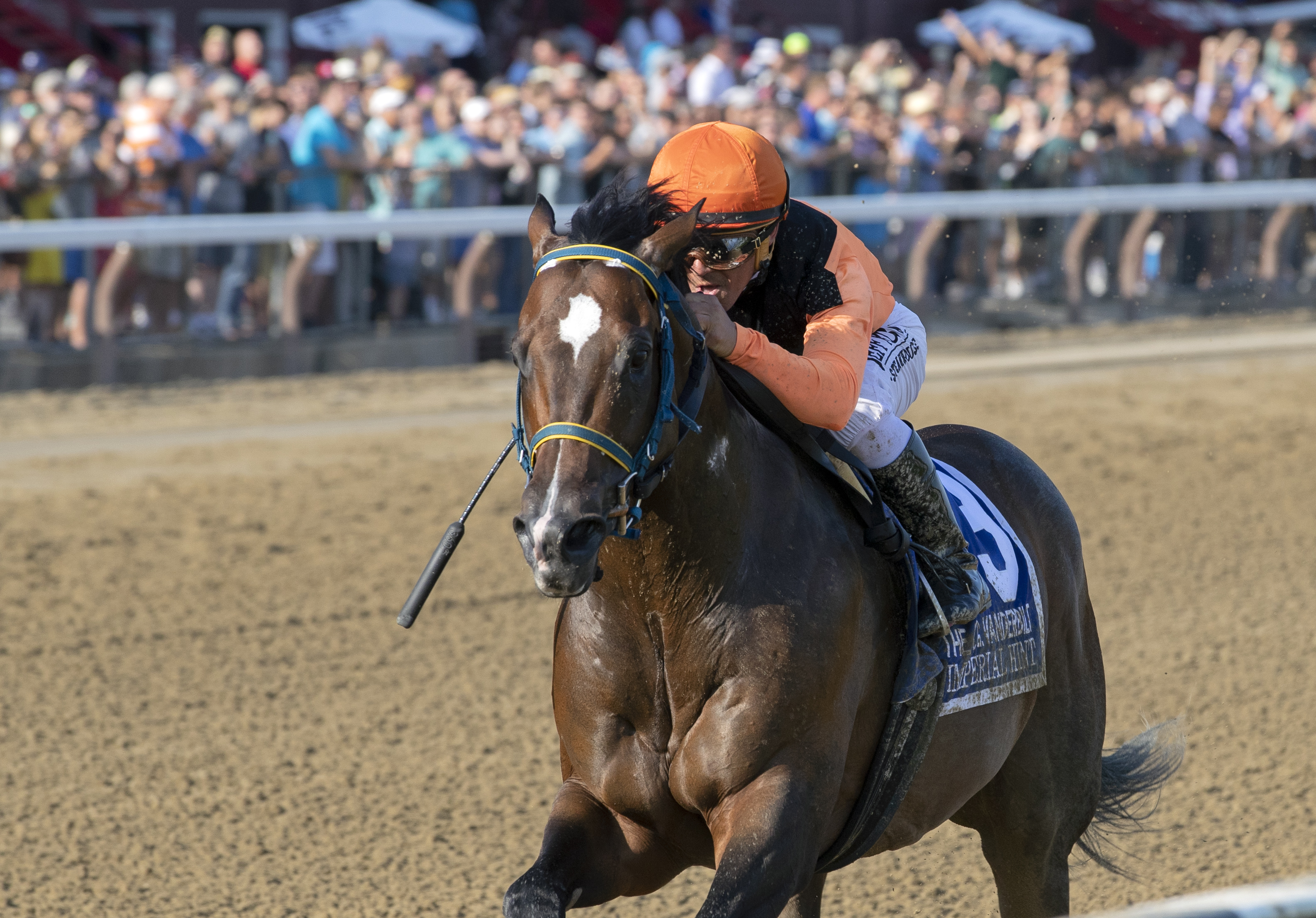 Imperial Hint wins the 2019 Alfred G. Vanderbilt
