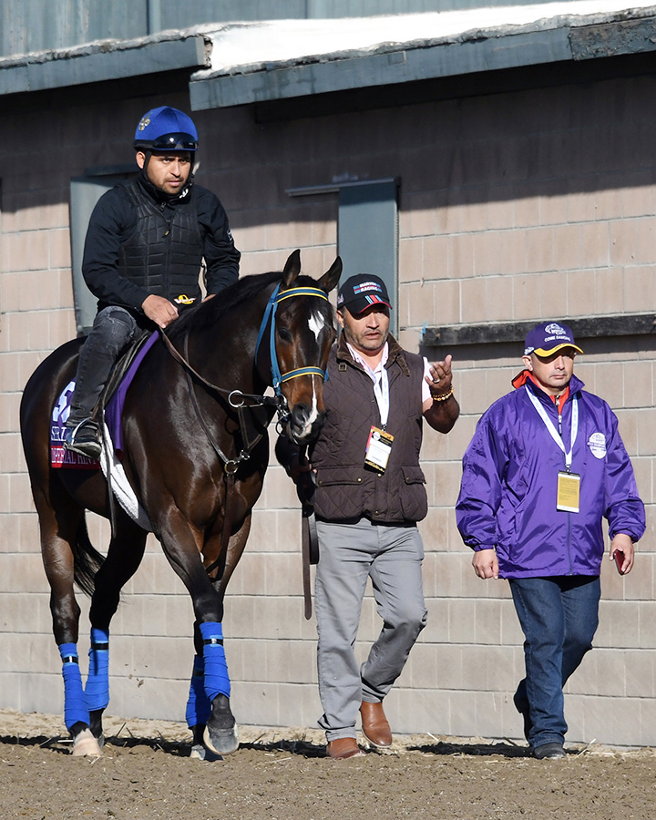 Imperial Hint at Santa Anita Park for the 2019 Breeders' Cup