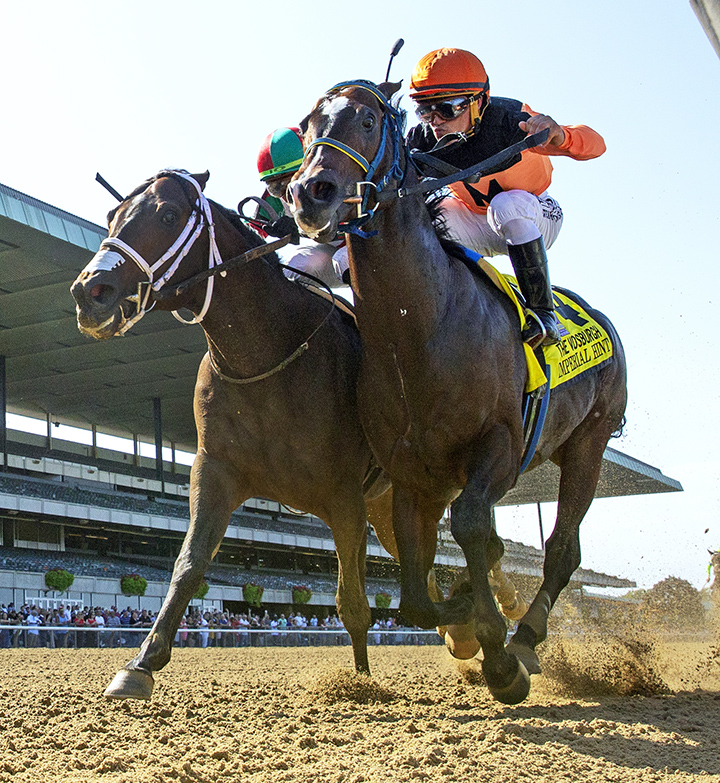 Imperial Hint (right) wins the 2019 Vosburgh Stakes at Belmont Park