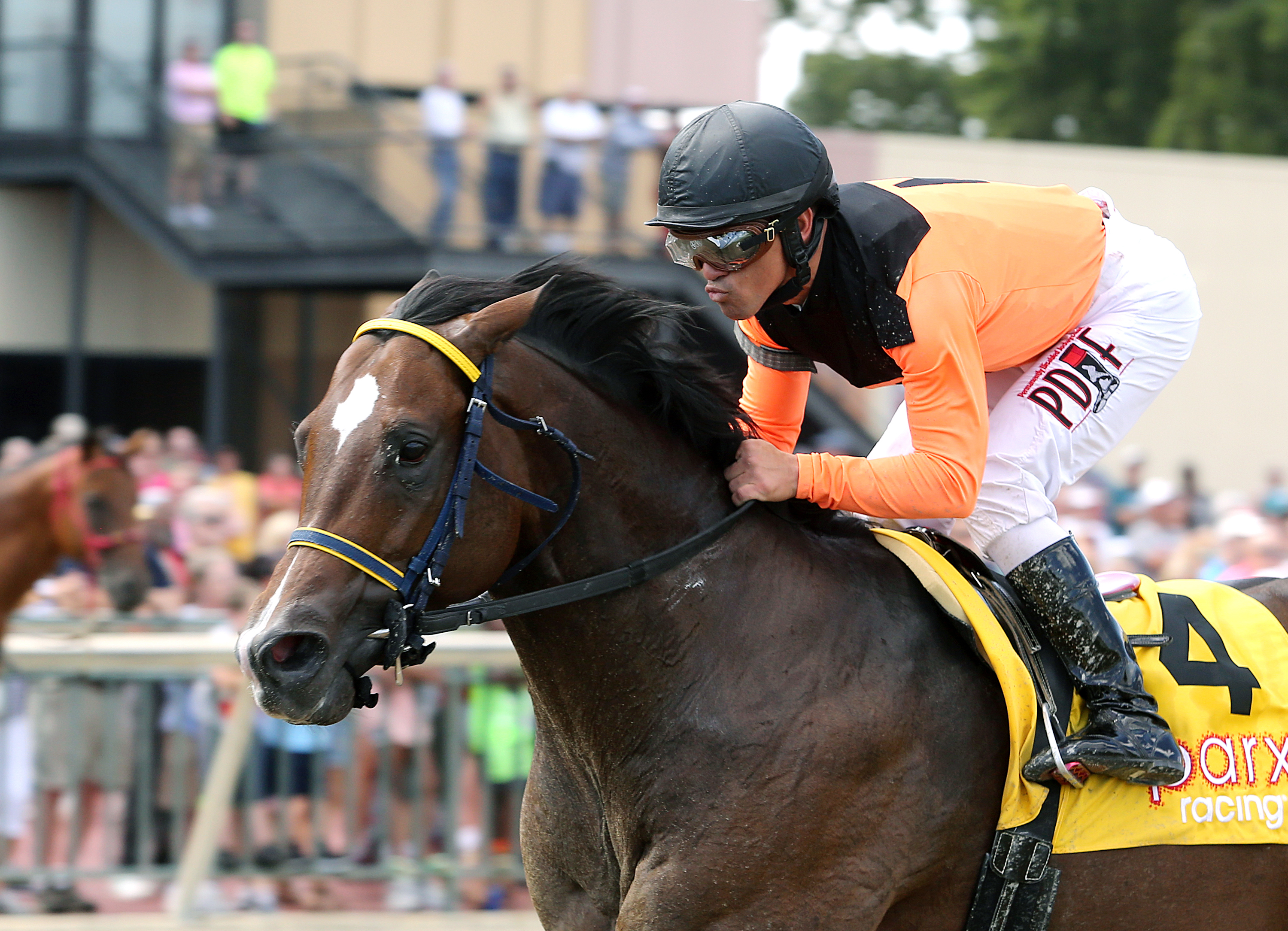 Imperial Hint wins the 2017 Donald LeVine Memorial Stakes