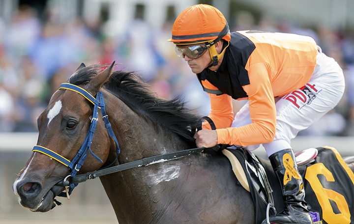 Imperial Hint wins the 2018 Vosburgh
