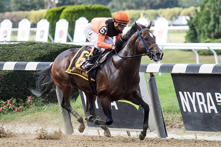 Imperial Hint - Eclipse Awards 2018
