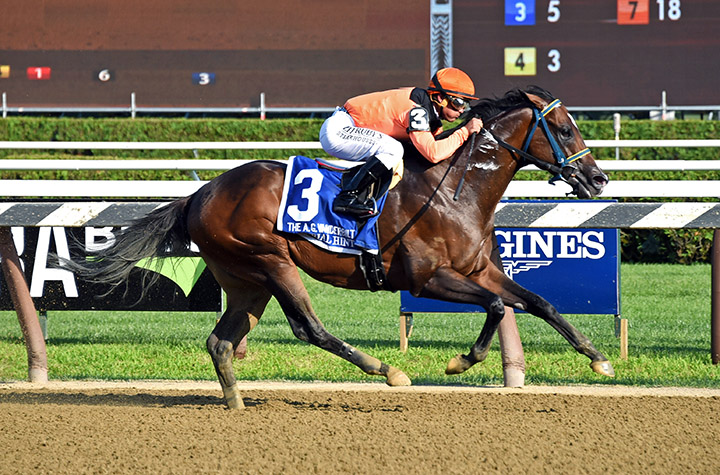 Imperial Hint wins the 2019 Vanderbilt at Saratoga Race Course