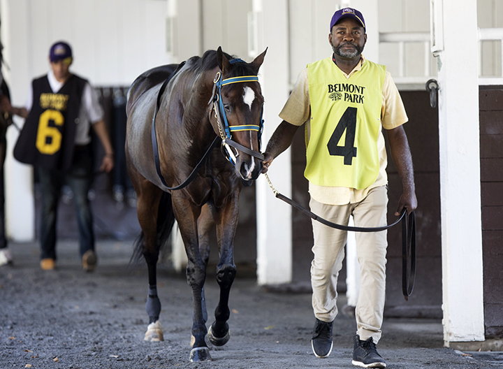 Imperial Hint at Belmont Park in September
