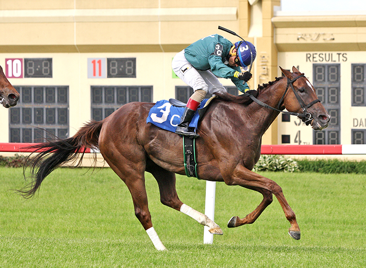Imply wins the 2018 Lyphard Stakes
