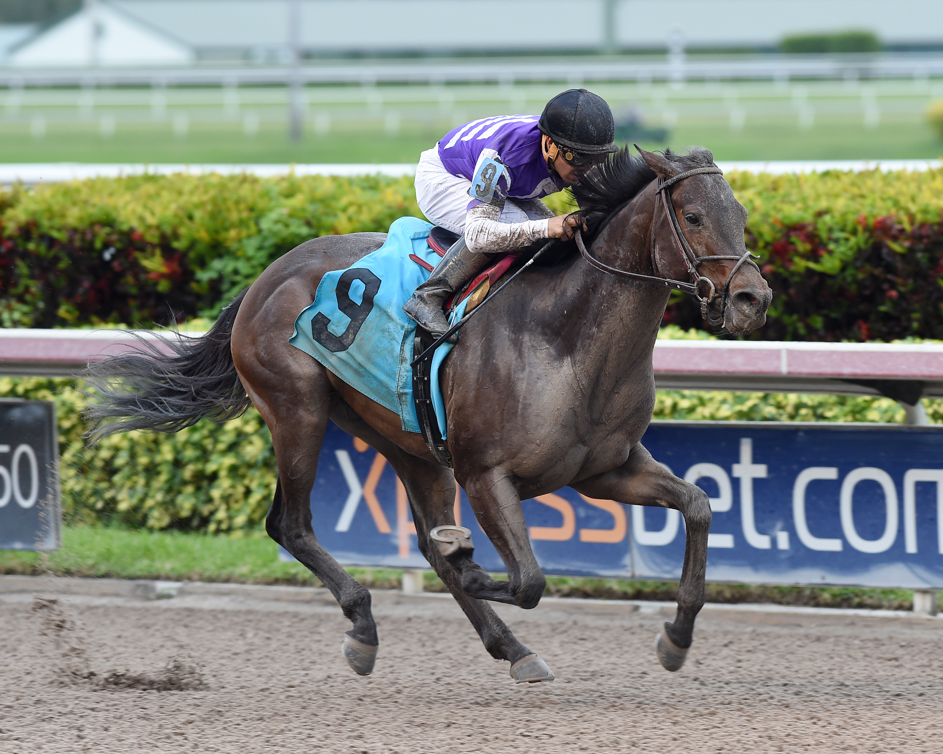 Impressive Edge wins a maiden race
