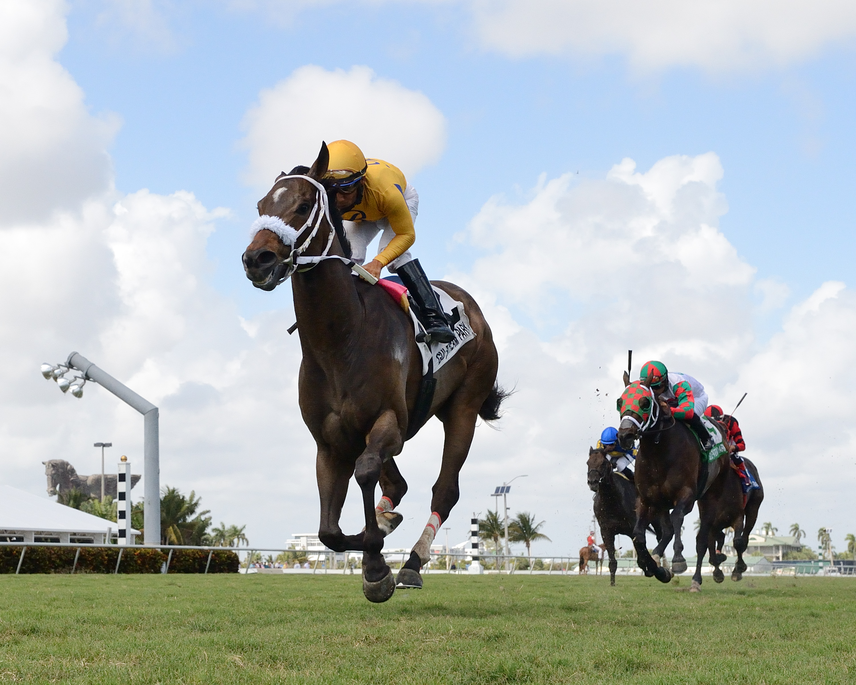 Imprimis wins the 2019 Silks Run Stakes