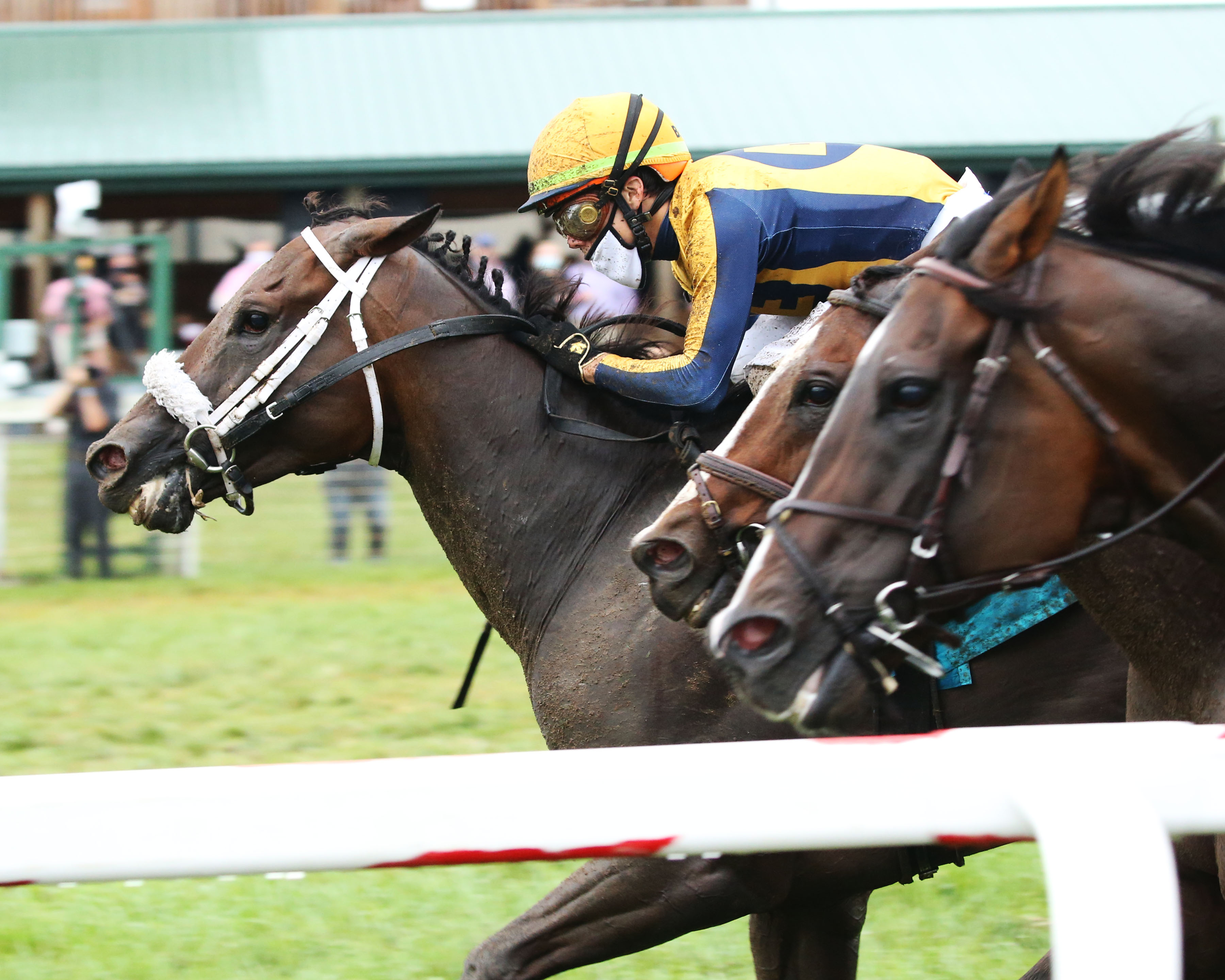 Imprimis.Turf Sprint.Kentucky Downs.9-12-2020