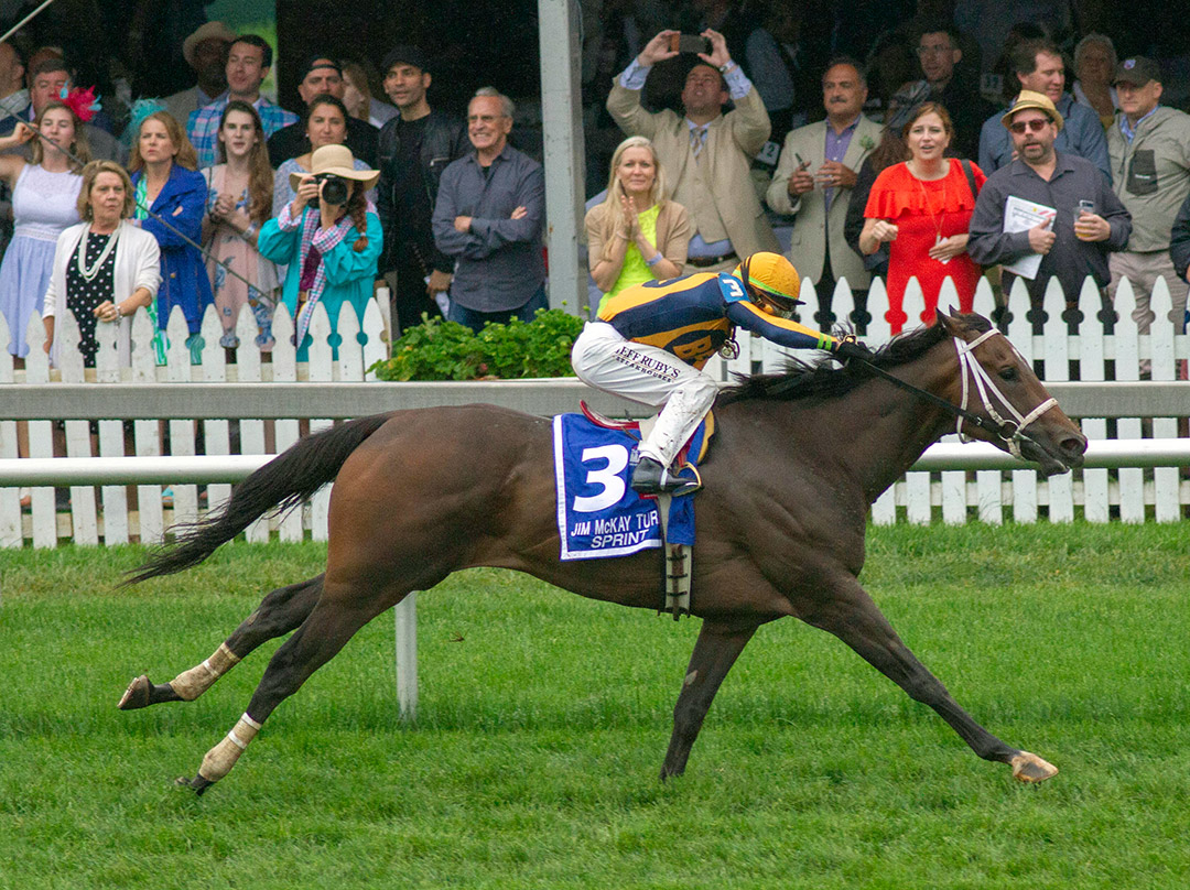 Imprimis wins the 2018 Jim McKay Turf Sprint at Pimlico