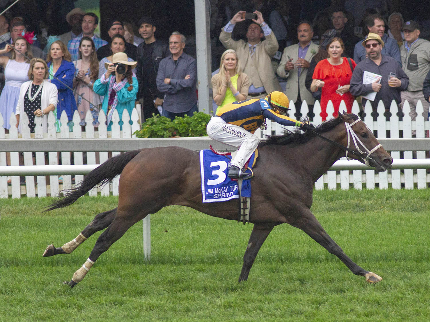 Imprimis wins the Jim McKay Turf Sprint
