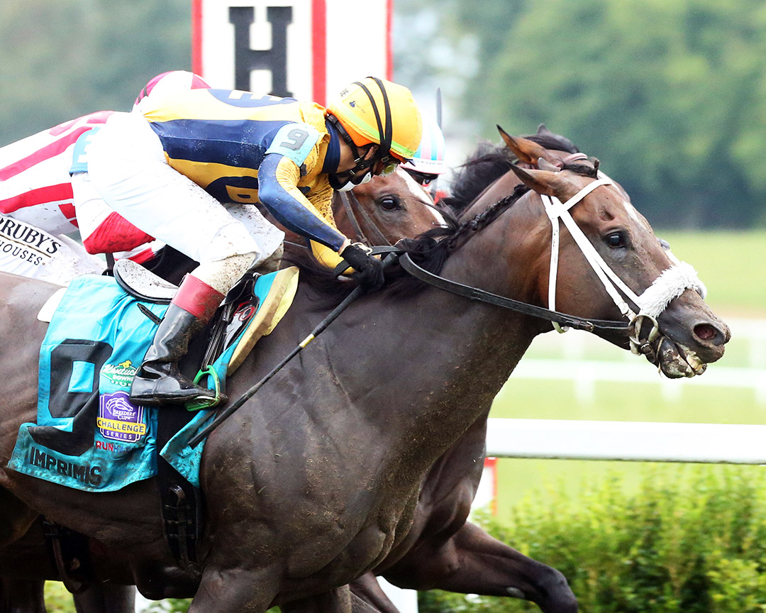 Imprimis wins the Turf Sprint at Kentucky Downs