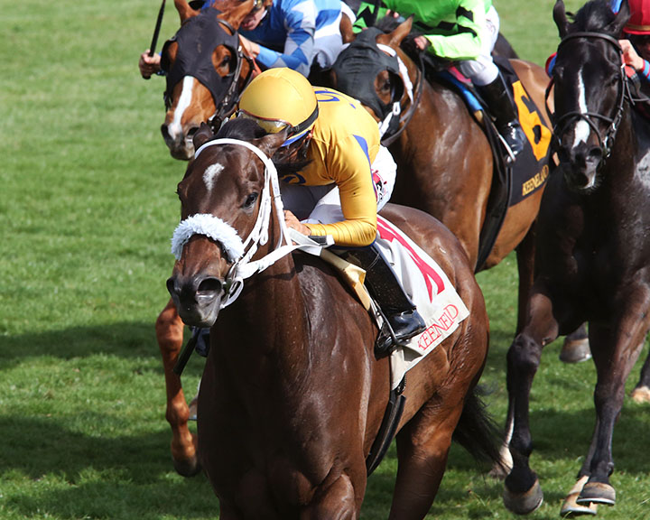 Imprimis wins the 2019 Shakertown