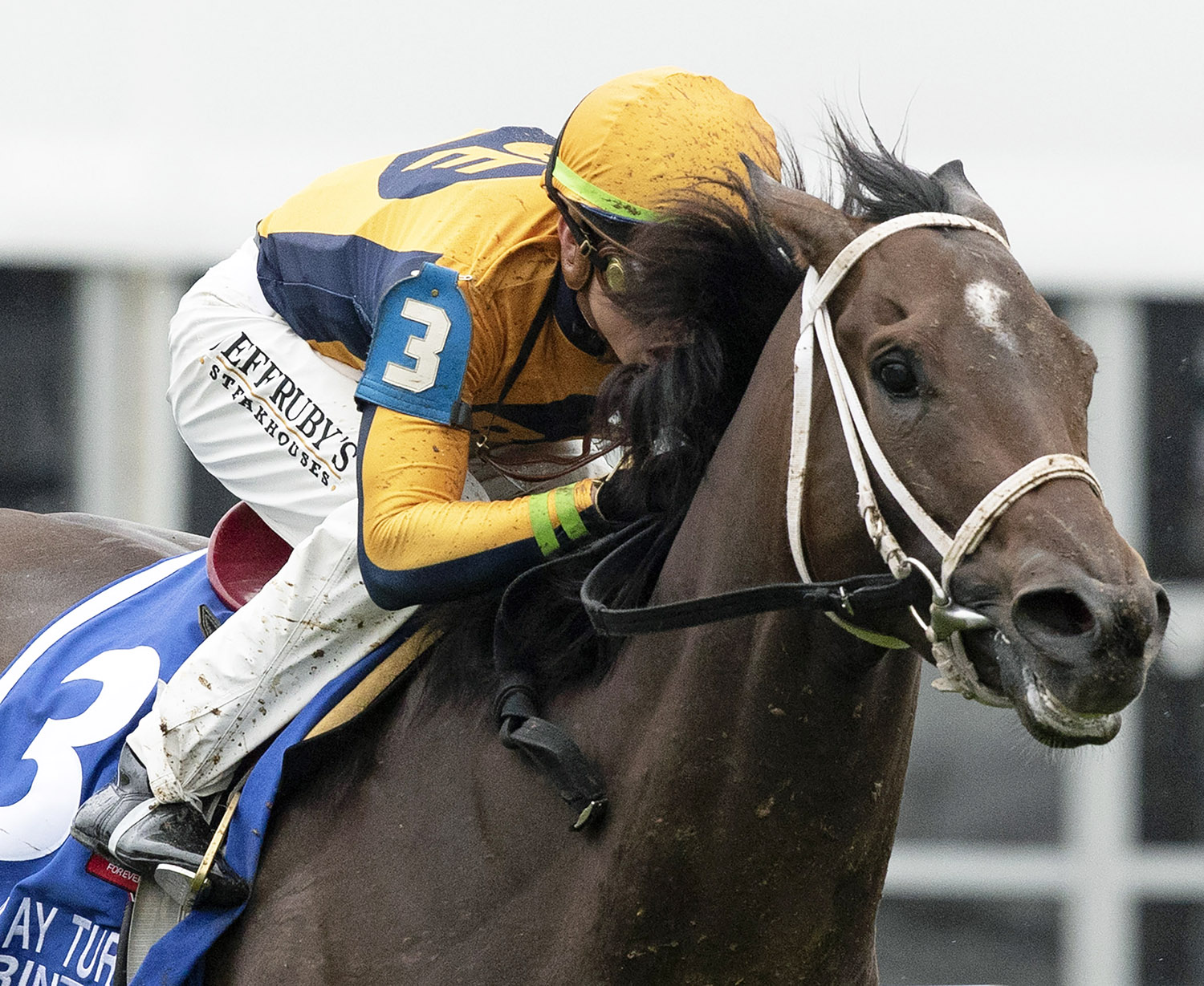 Imprimis wins the Jim McKay Turf Sprint