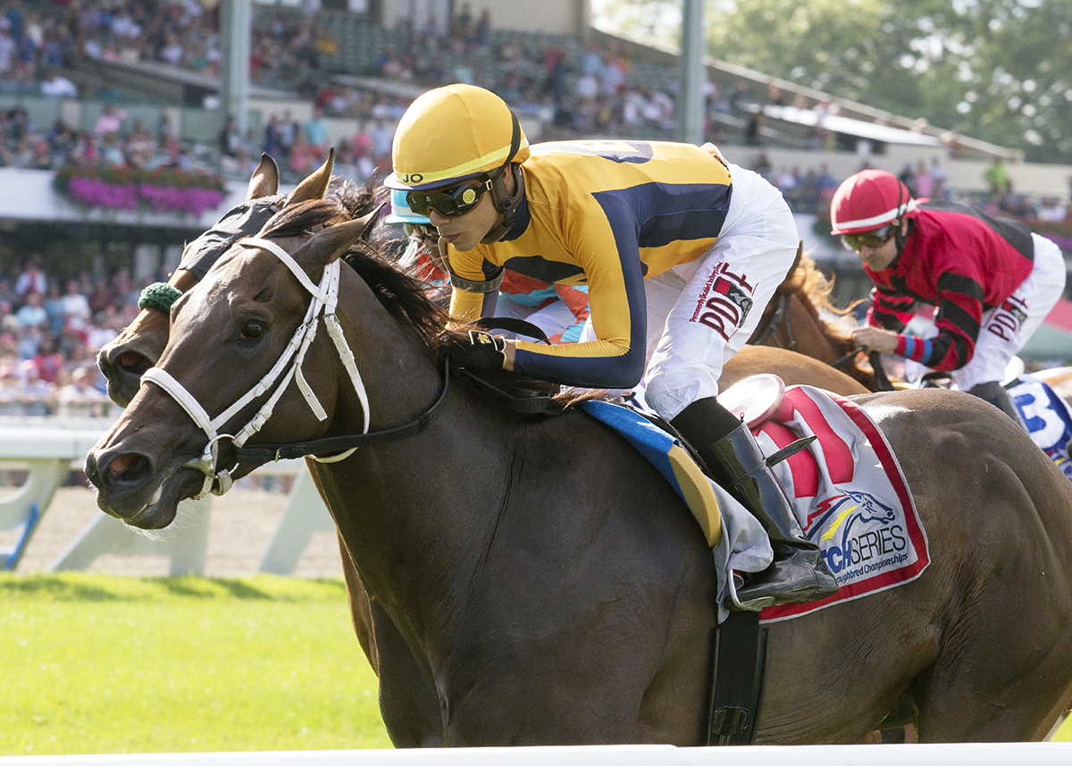 Imprimis wins the 2018 Wolf Hill Stakes