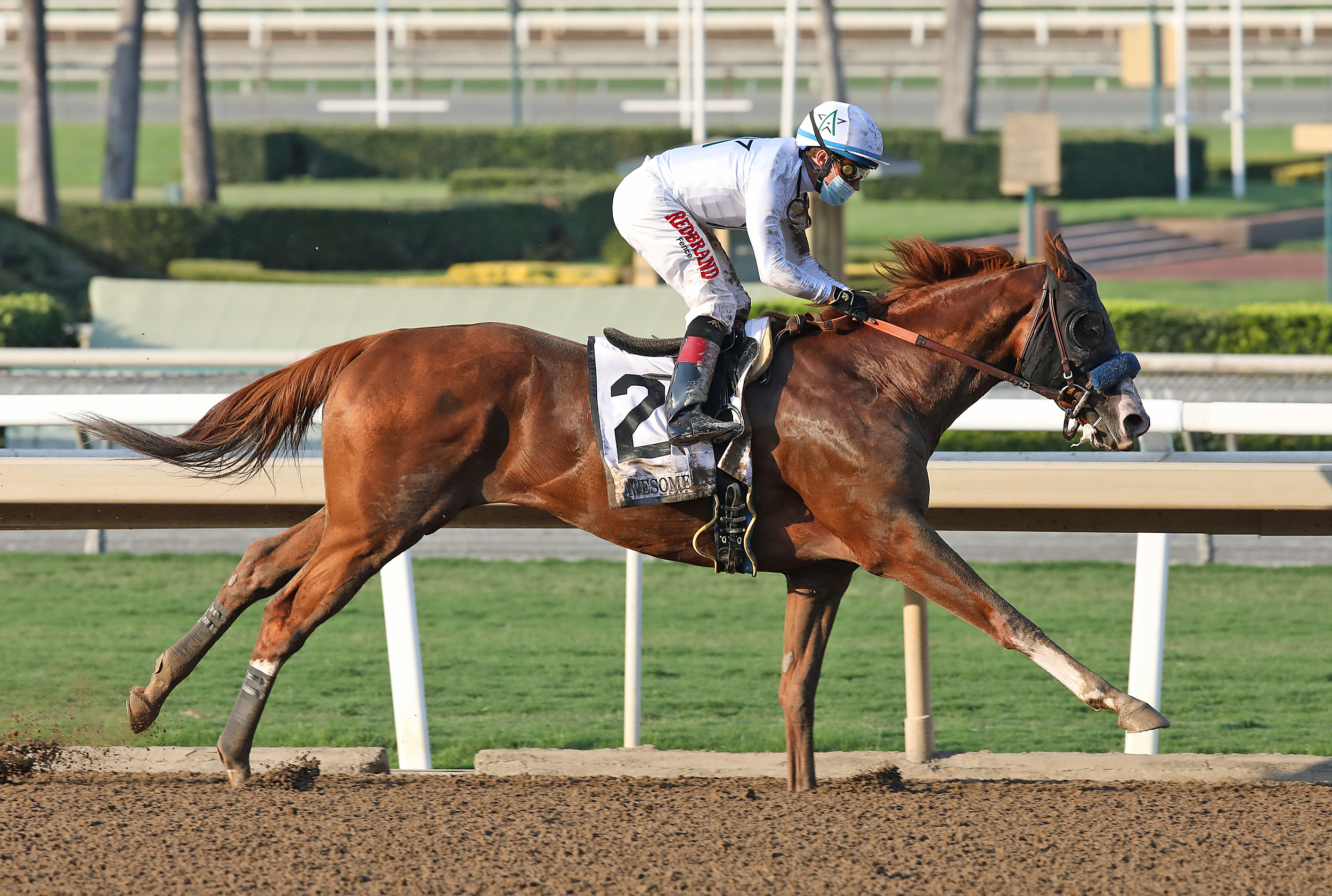 Improbable, Awesome Again