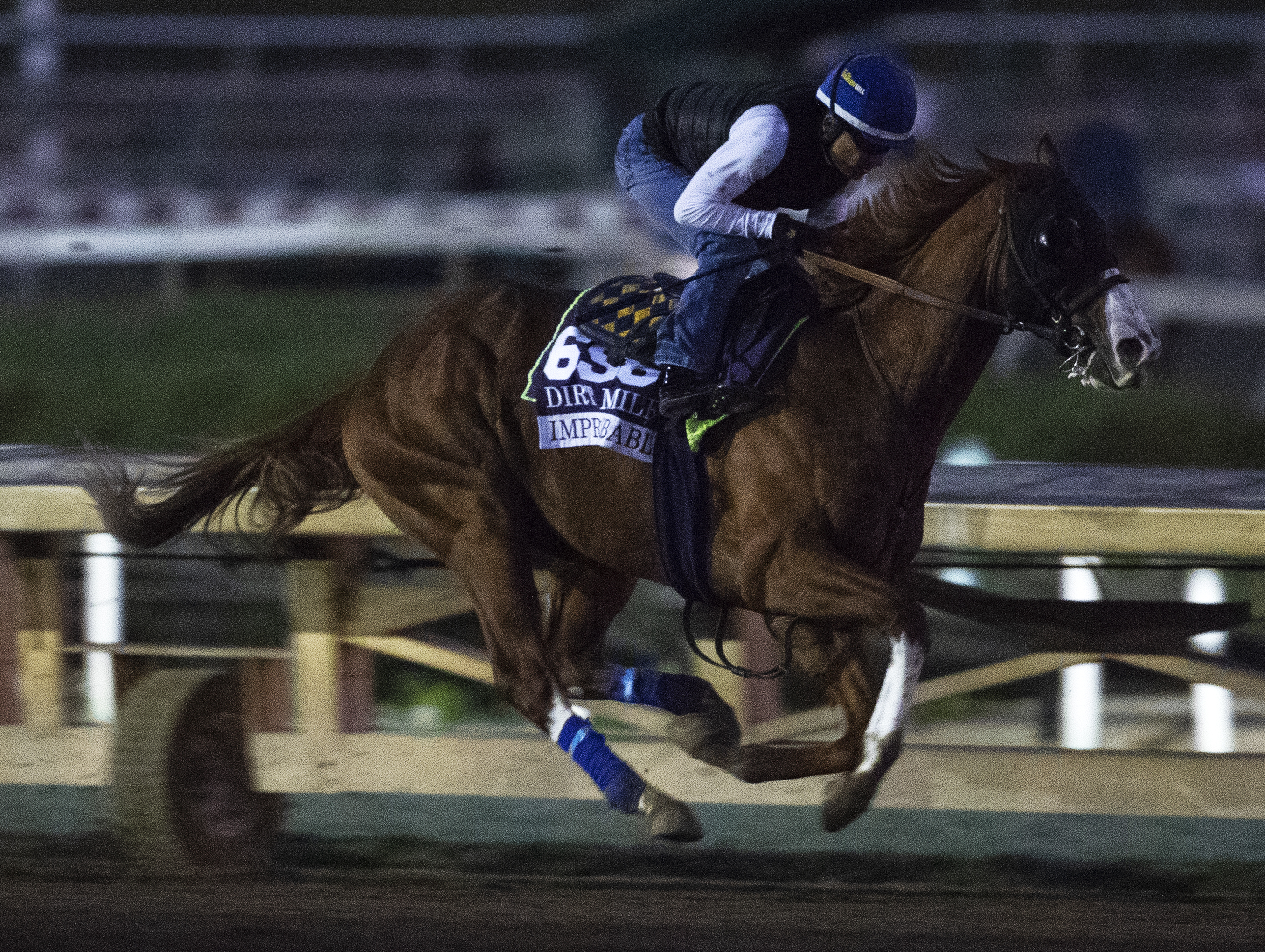 Improbable works at Santa Anita Park on 10.27.19