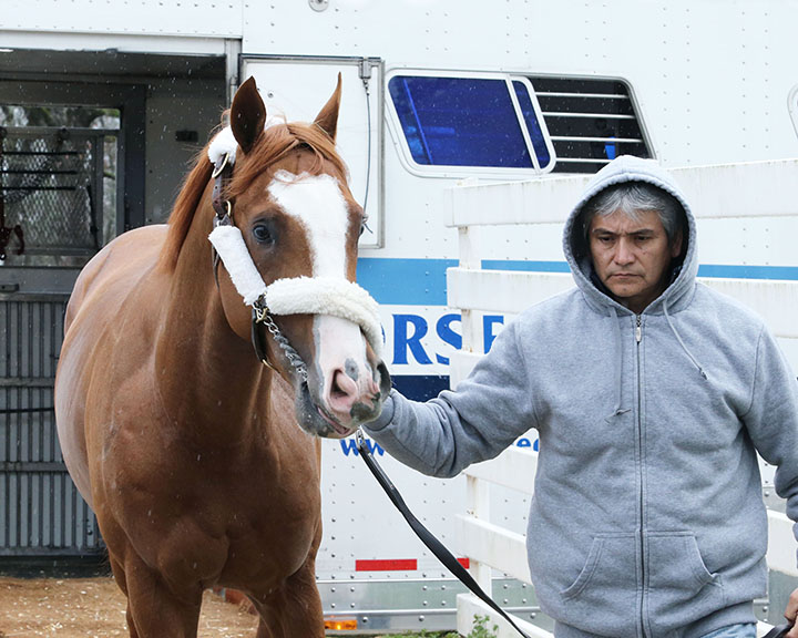 Improbable arrives at Oaklawn Park, March 13