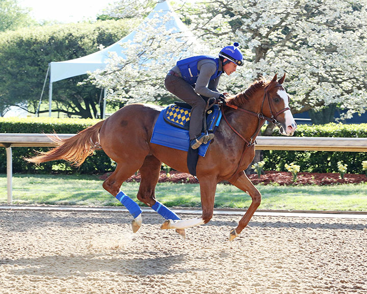 Improbable gallops at Oaklawn on April 10
