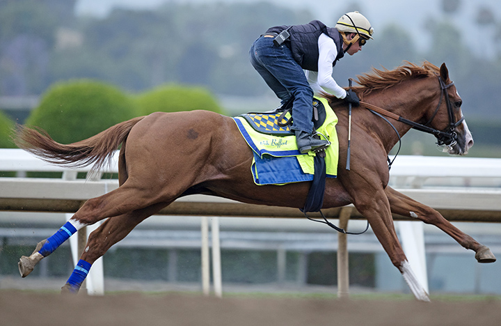 Improbable trains at Santa Anita on June 19