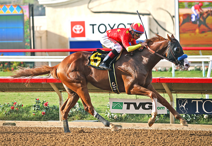 Improbable wins the 2019 Shared Belief Stakes at Del Mar