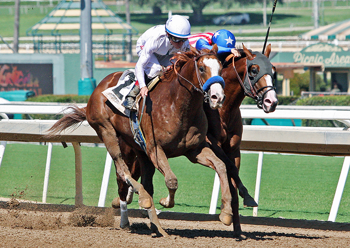 Stretford End finishes second in a Sept. 29 maiden race