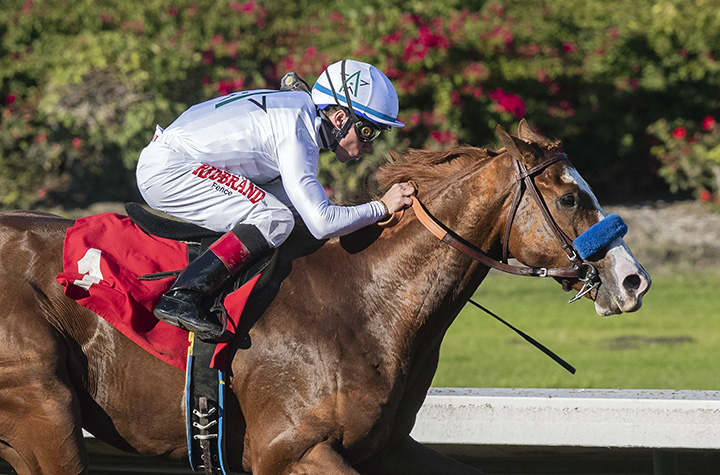 Improbable - Eclipse Awards 2018