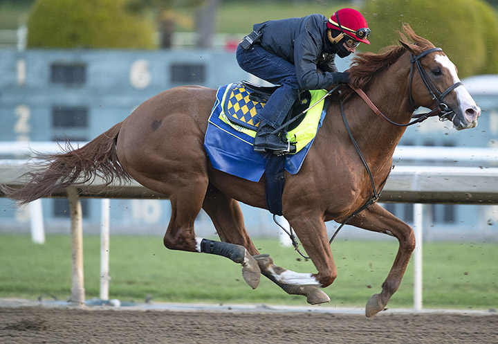 Improbable trains at Santa Anita on Feb. 25