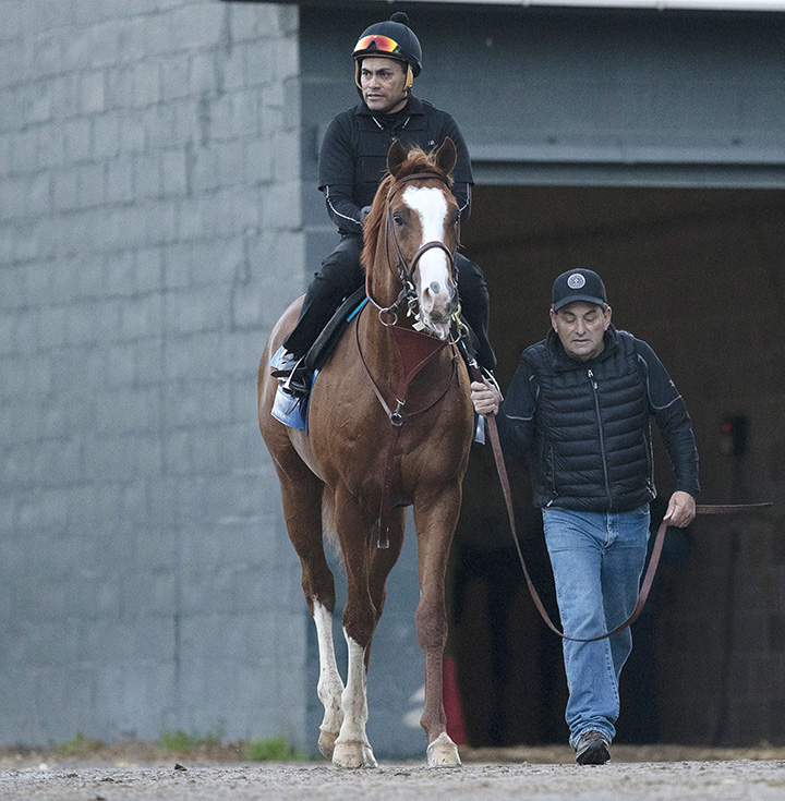 Improbable at Oaklawn on March 14