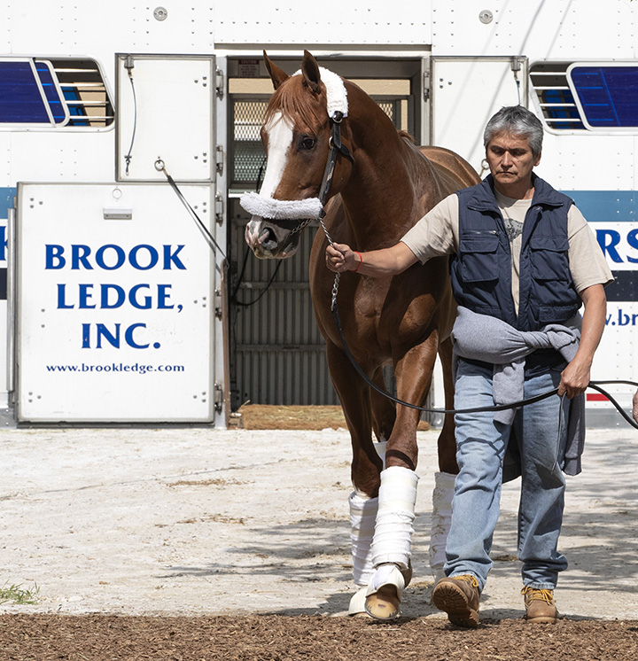 Improbable arrives at Pimlico on May 15