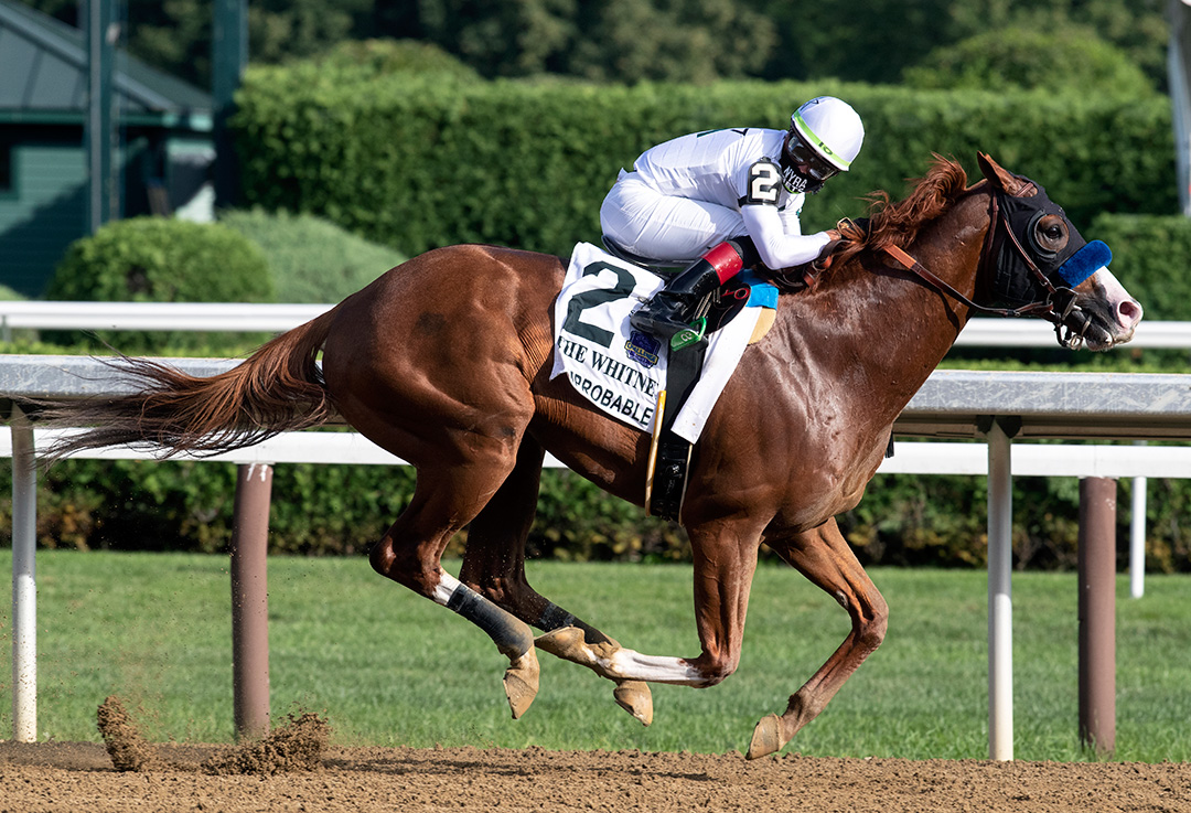 Improbable wins the 2020 Whitney at Saratoga